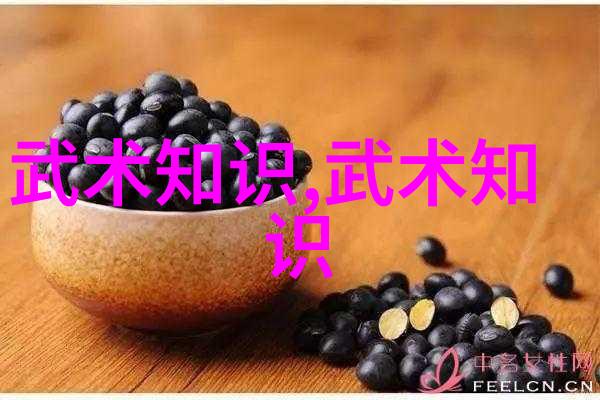 铸就一身正气为人师表如何通过学习不同层次的武学提升自我