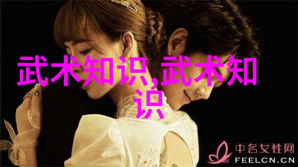 江湖奇谈龙争虎斗的四大秘术