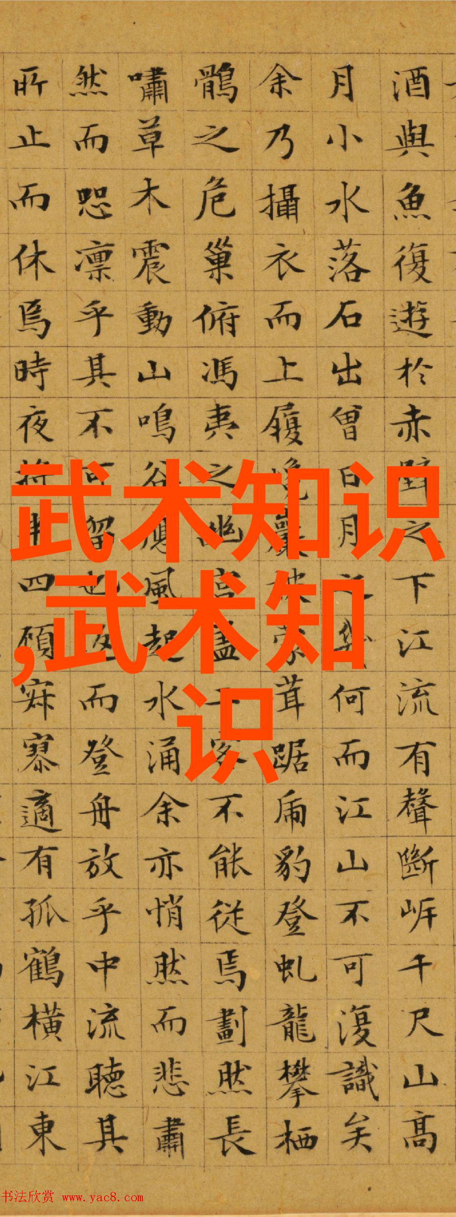 古代神功绝技揭秘太极拳的核心动作与独特风范