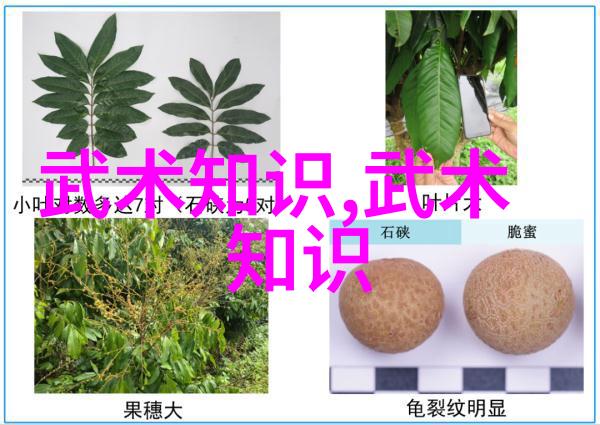 田径运动会通讯稿刘翔在莘庄放松心态积极备战大阪赛事