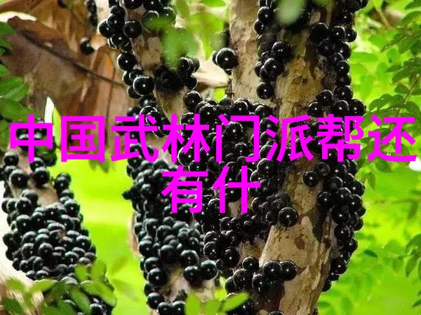 实战性最强的十大武术 - 搏击之巅揭秘世界上实战性最强的十大武术