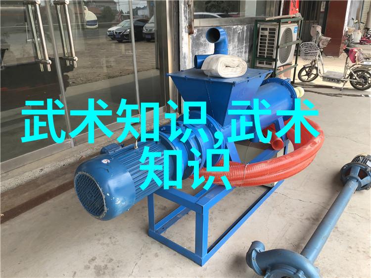 禁用武术的网站我不想再看到那些虐待小孩的视频了