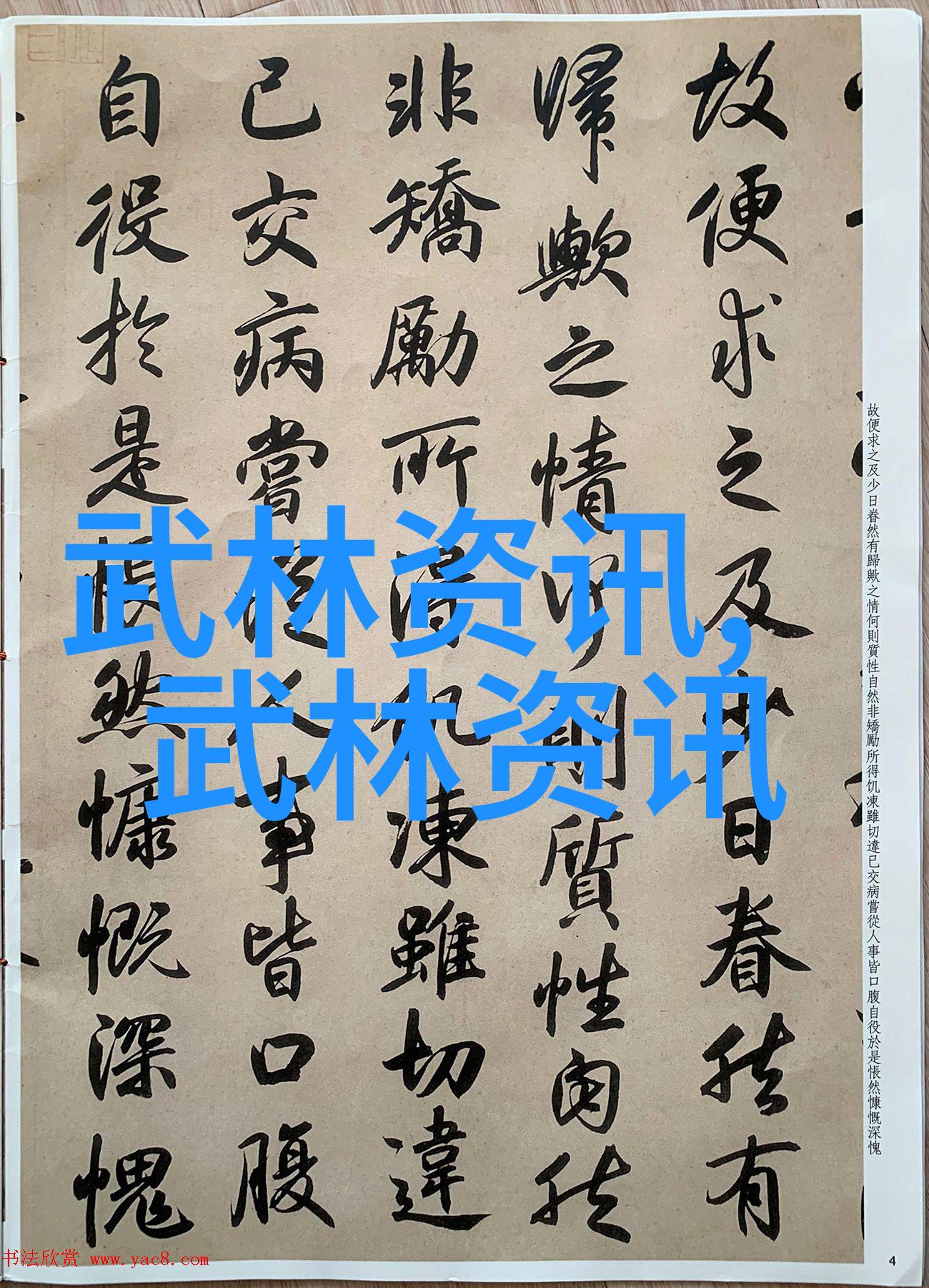 李小龙的武术训练课程李小龙教学的功夫视频