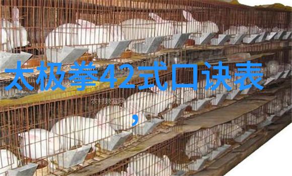 武林秘籍功夫大全招式拳法内含精心编练的中华武术技巧