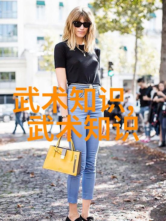 太极拳24式慢动作讲解 - 揭秘太极拳24式轻松掌握内外兼修的武术之美