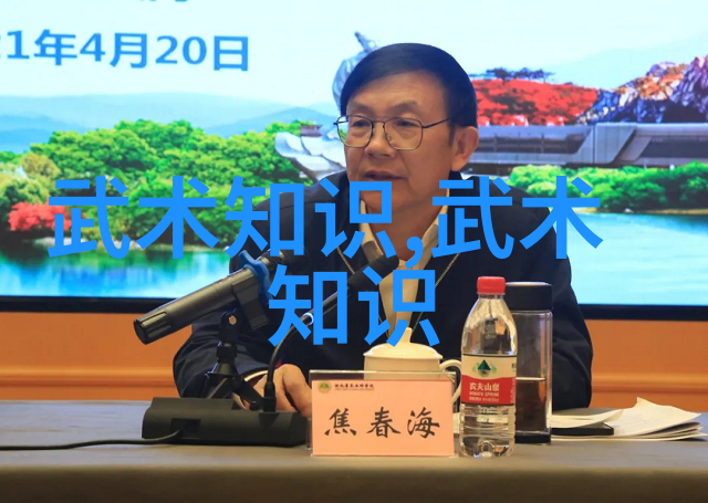 少林武功秘籍大全传统内家拳法精髓