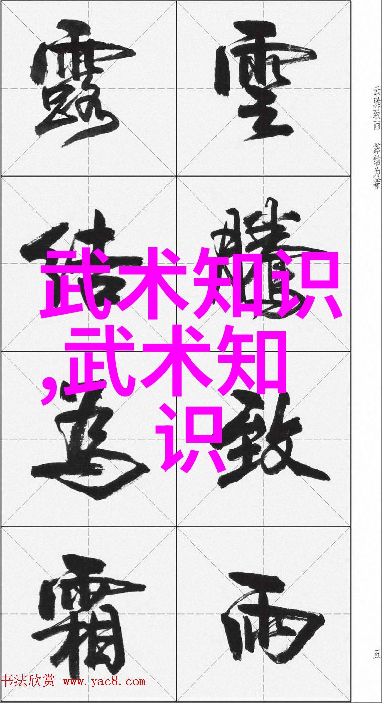 武术自学之路探索适合个人练习的古老技艺