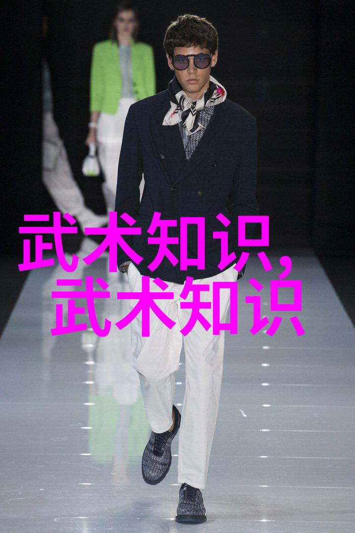 武功门派全览揭秘中华武学的千丝万缕