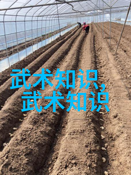 武林门派有掌门吗我问道长你这武林门派有个掌门人吗