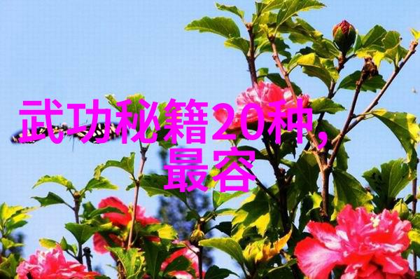 深海杀手十大鲨鱼之王的阴影