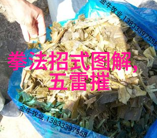 武林秘籍揭秘中华武术的千年传承与变迁