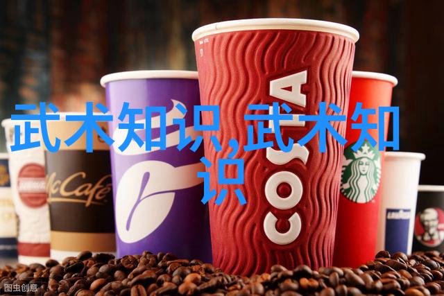 从小龙女到黄蓉从心意转移到招式变化试图揭开江湖中的几大秘术真相