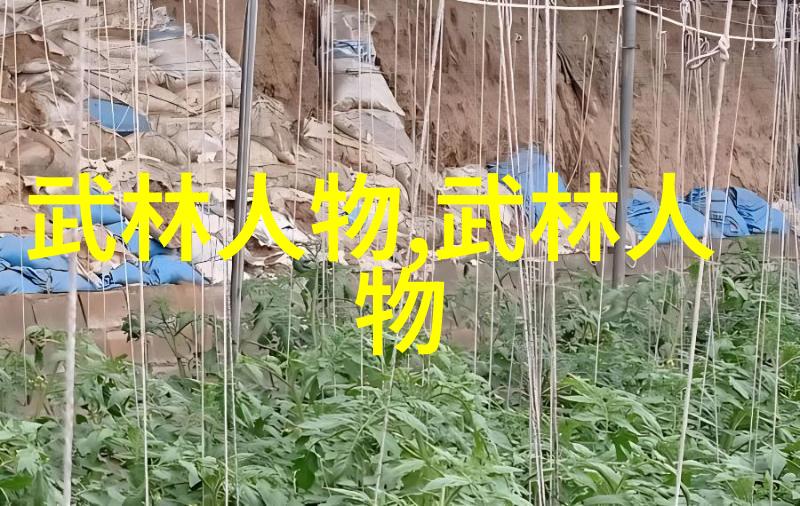 武功自学教学视频-独行侠的修炼之路如何通过视频学习掌握武林绝技