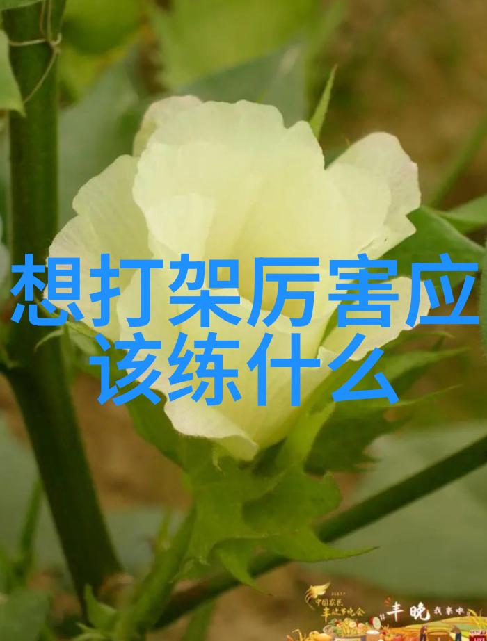 以文会友以智立群剖析那些融合文学元素与智慧精神的小组名称