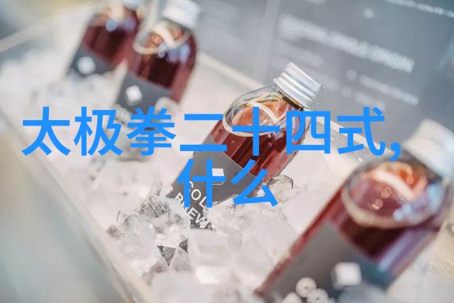 张杰刘淑君的自然环境中自学八极拳探索成功之路陈式太极拳技击中的声东击西思维应用