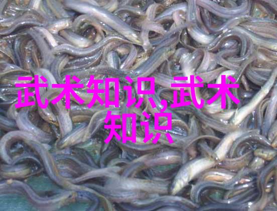 武林秘籍集炼丹术之巅
