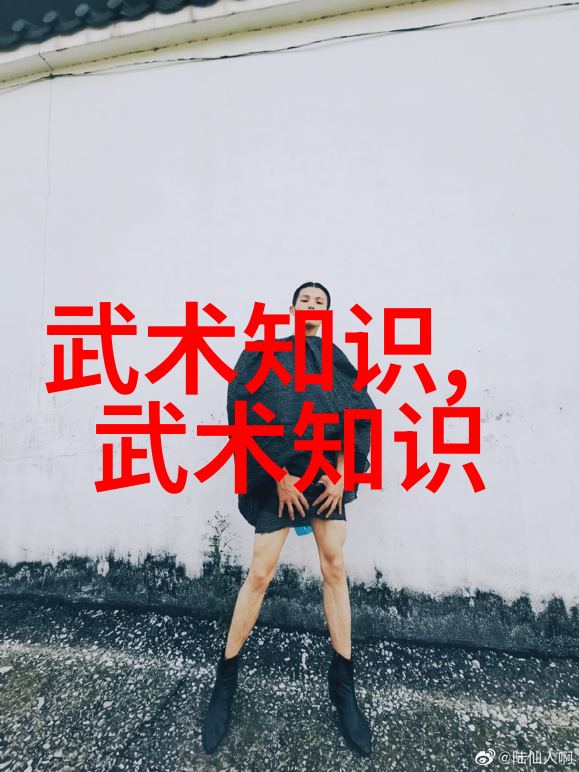 李文奎与李艺蕾的太极拳力与技在自然之中探索李小龙功夫教学视频的智慧