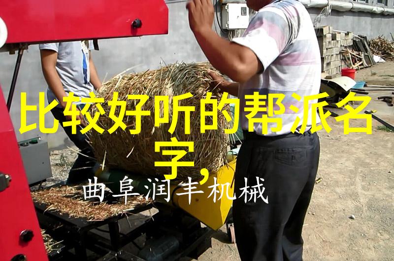 实战对比演练什么是正宗的中国武功体验