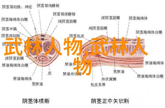 古代武林门派秘籍江湖绝学全录