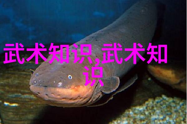 武当全真龙门派传人是谁-寻访武林秘籍揭秘龙门派的传人之谜