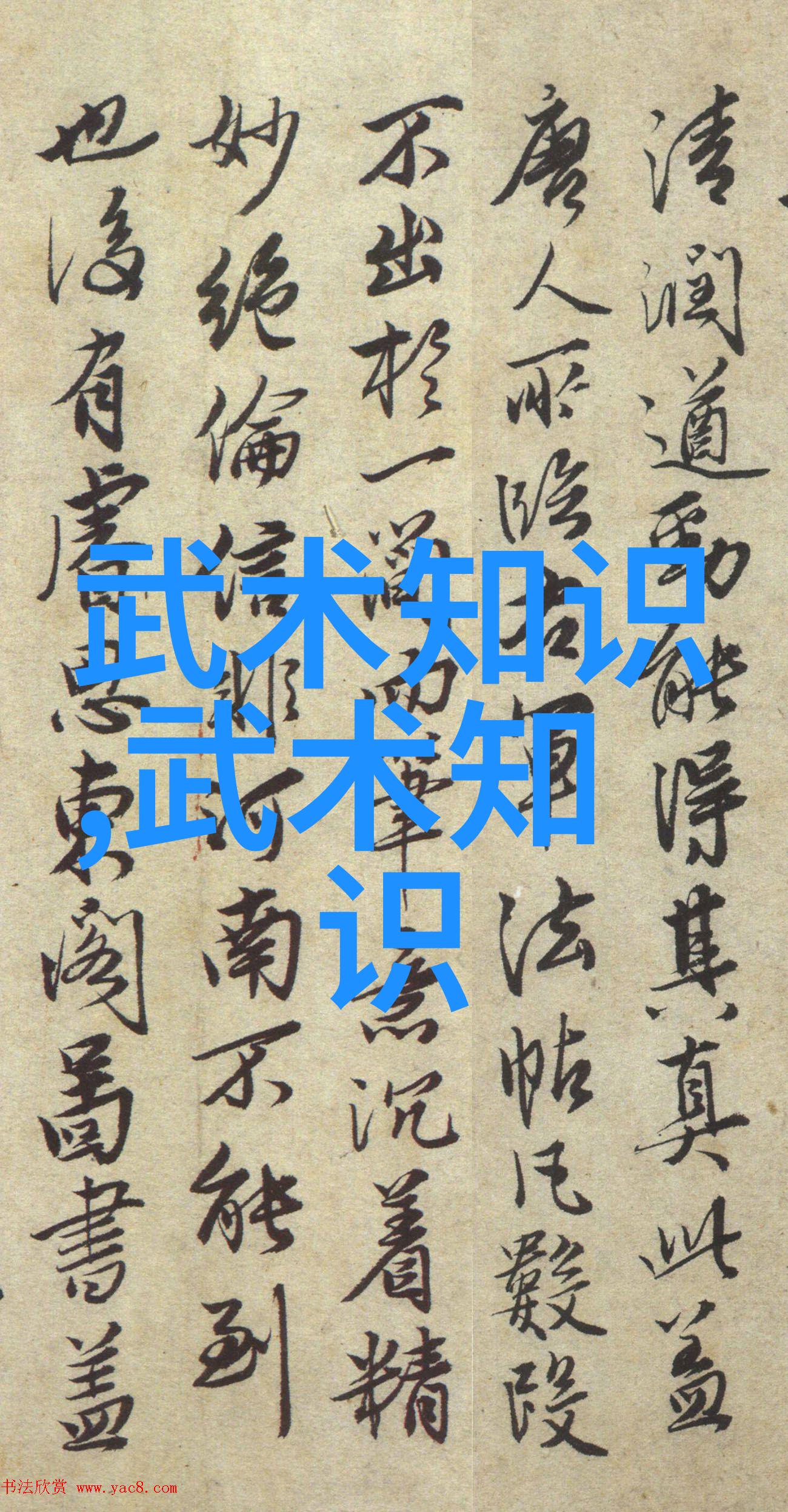 学武之路探索功夫的魅力与挑战