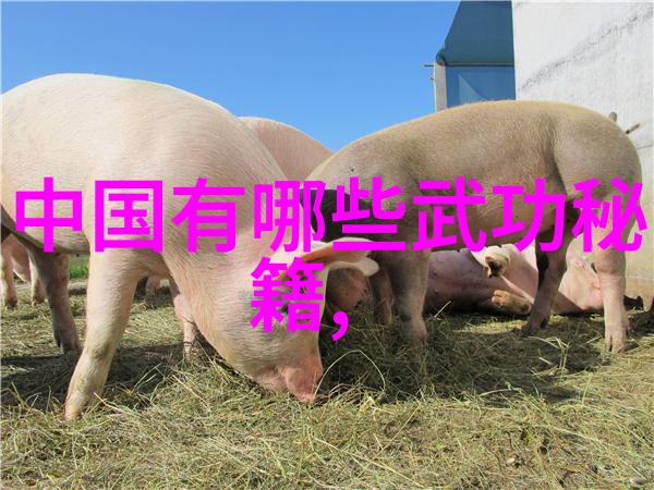 武林门派掌门之谜探寻武学世家的最高领袖