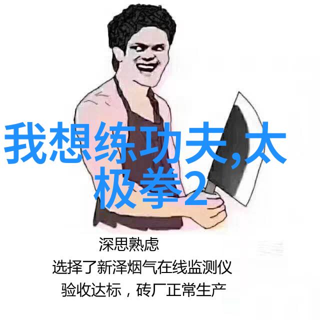 武当山十五代传人寻踪天狐与剑影中的传奇