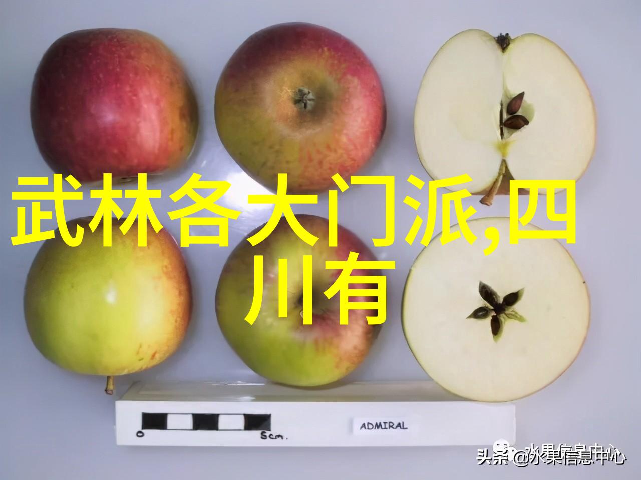 最佳学武术年龄少年时的坚持与成年后的深化