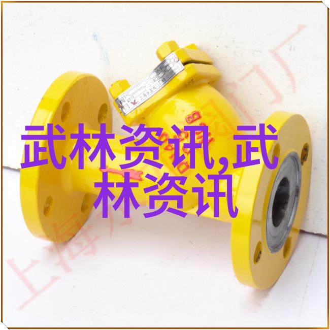 动静相随揭秘太极拳24式每一式精髓