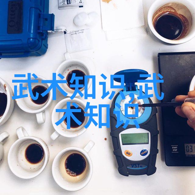 空手道至太极拳揭秘最適合初學者的内功修为之道