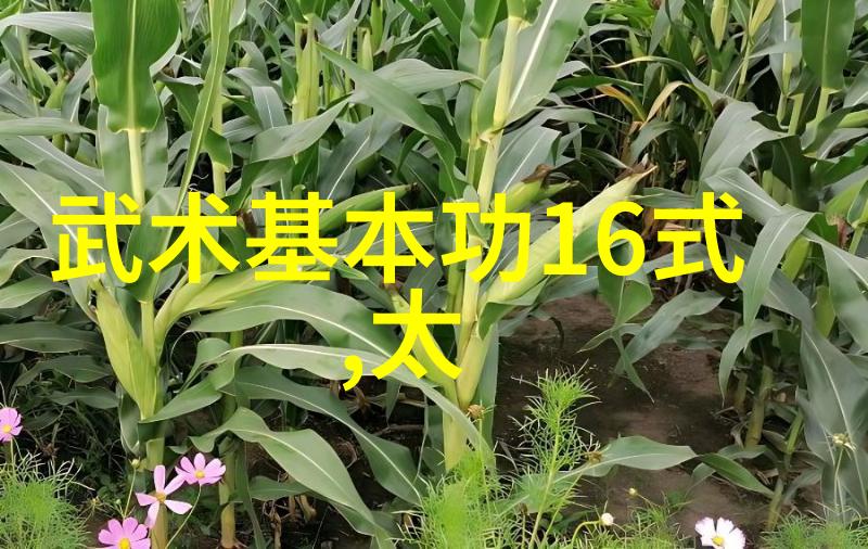 在月光下悄然启航的诗魂帮派你准备好迎接它的到来吗