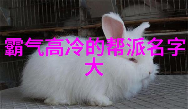 金庸神功大系绝世武学排名金庸小说中的最强神功排行