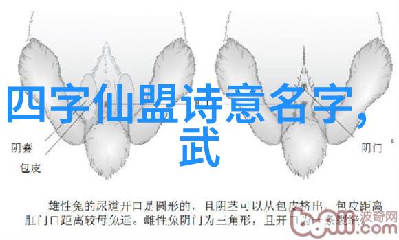 人们为什么对具有深层寓意的三字古风帮派名称情有独钟