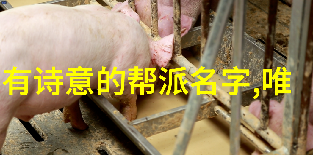 悠然居士养老帮派温馨社区共享生活