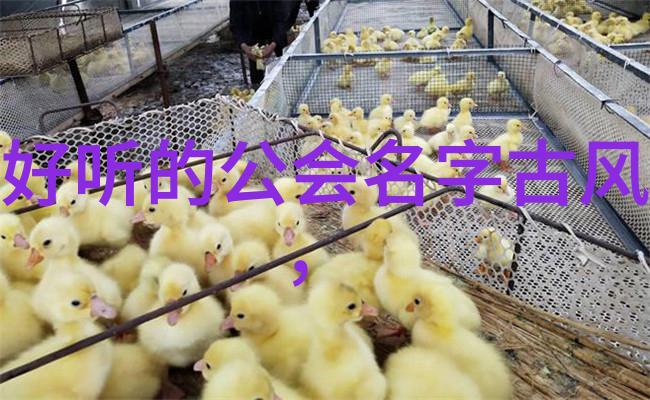 六大门派的金源之谜是武功高强还是商业智慧