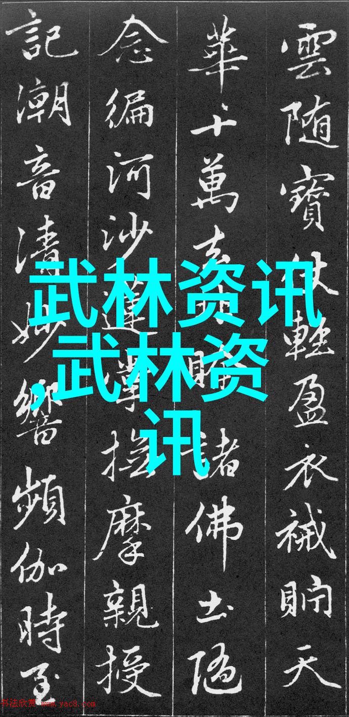 武功自学教学视频太极拳十四条修正犹如精湛工艺中的璀璨宝石点缀着修行者心灵之旅