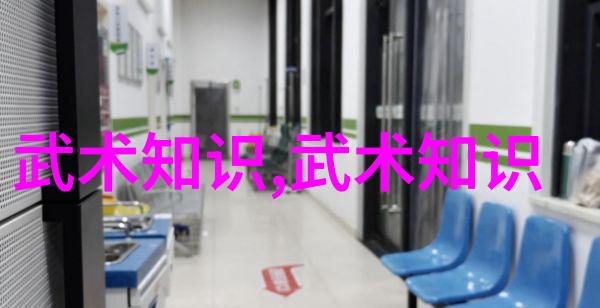 武当拳法之美探秘武当山的内家拳学