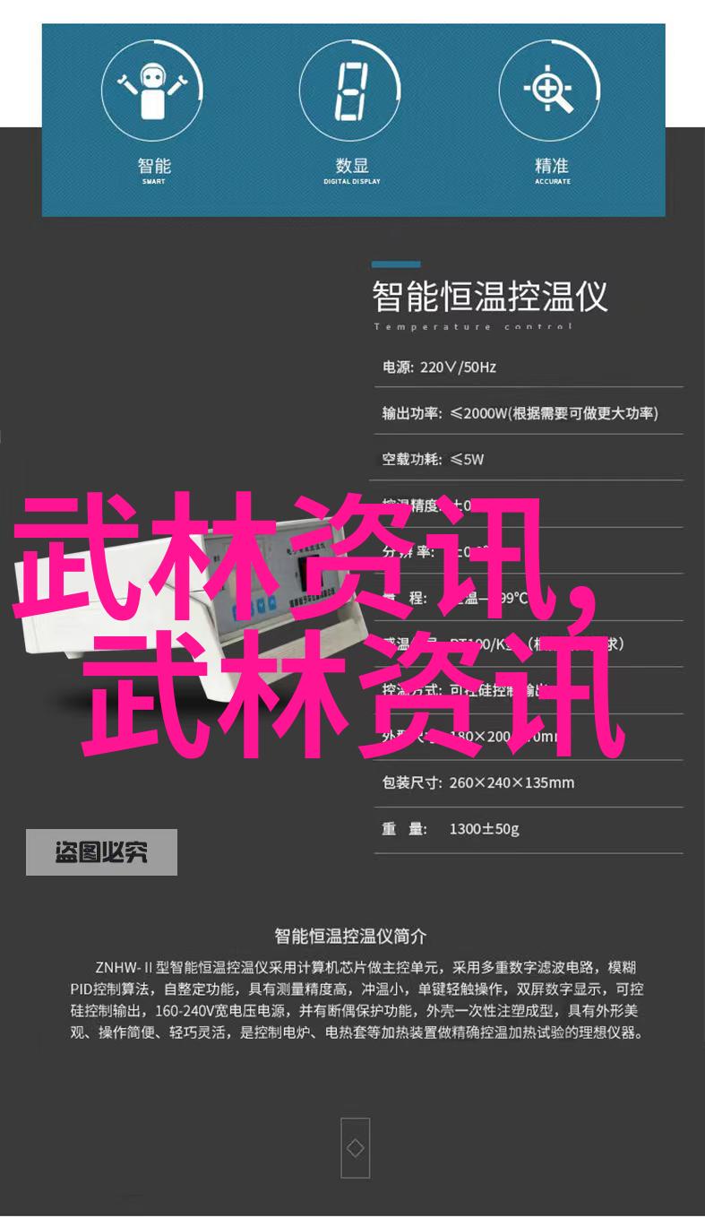 拳风霸主王式王青山揭秘形意拳绝技中国功夫门派实战大PK