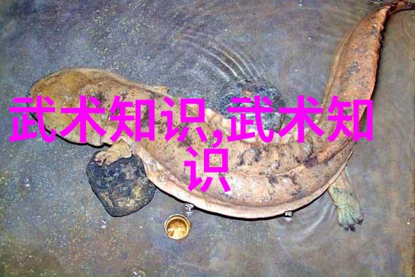 揭秘中国武术秘籍书解读千年内功与拳法之谜