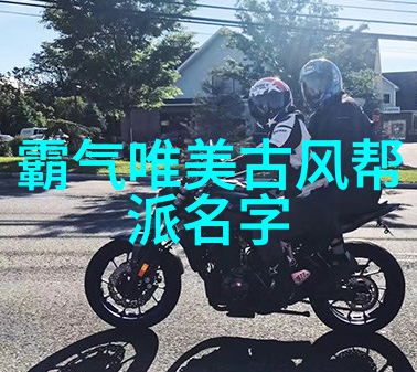 中国武功-精通中华武术从基础练习到高级技巧的实用指南