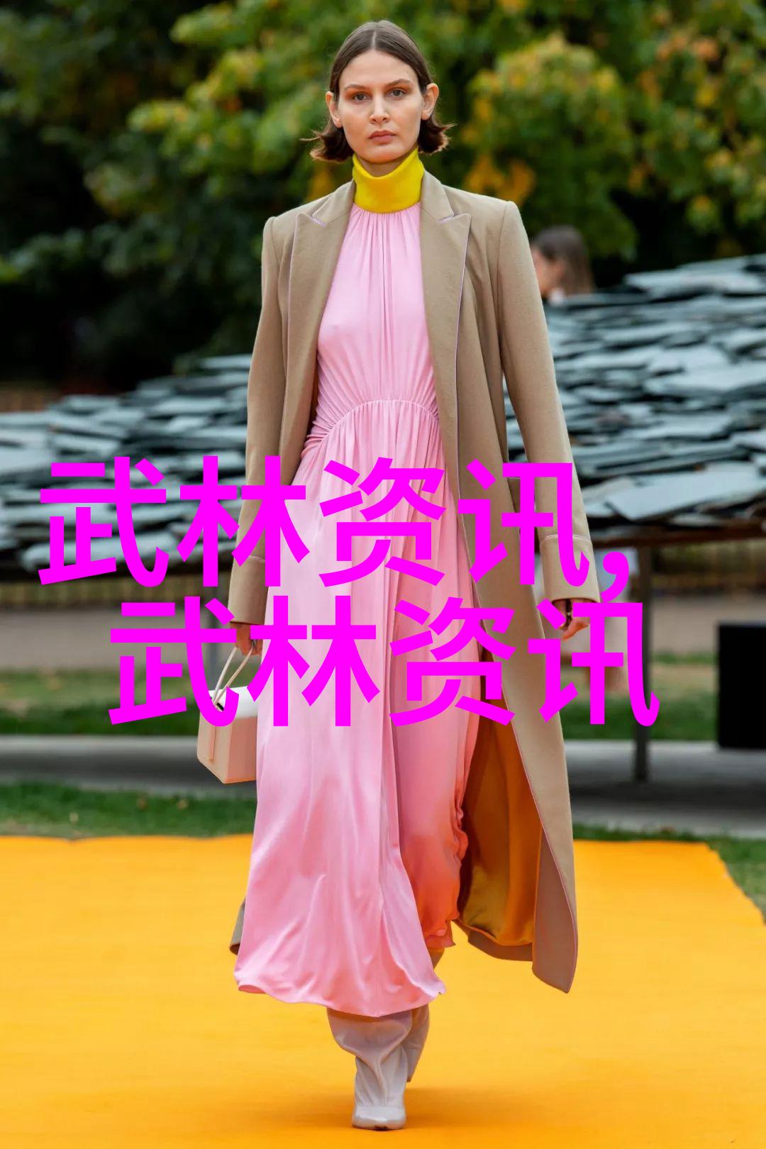 中国武术门派大全程派高式八卦掌