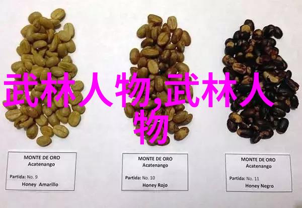 入门者必备武术教程中的初学者常见问题解答