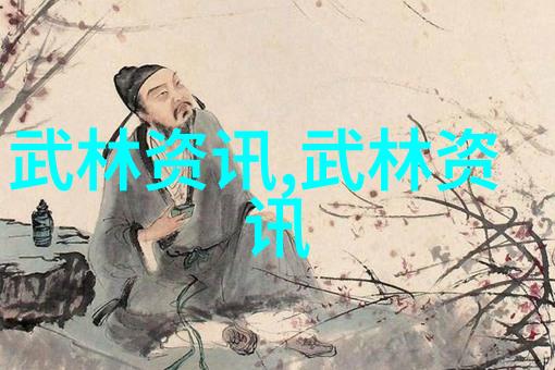 武林绝技少林派的秘传拳法之巅峰技巧