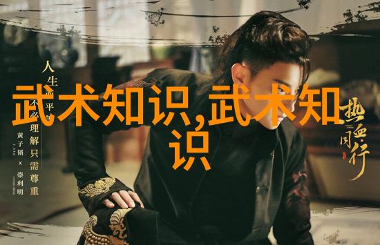武林秘籍揭秘揭晓十大真实武功之源