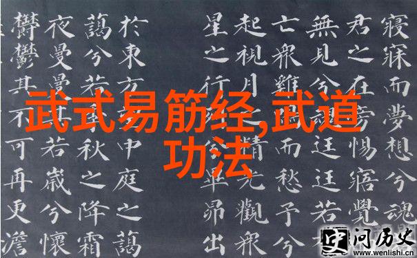 一招难求一式流传掌握经典功夫招式技巧