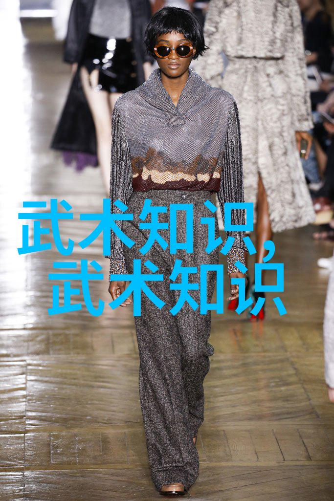从古老的武林到现代派探秘中国武术流派的反差篇