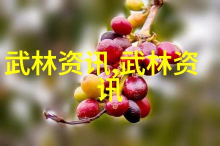 点起点落与虚实转换32式太极拳拳谱全套分解