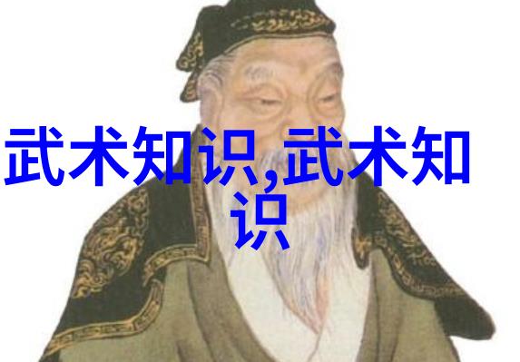 中外武术对比哪些技巧适合现代实战
