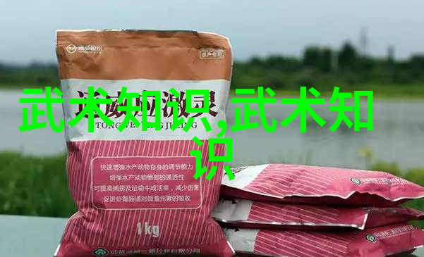 古代武功秘籍口诀中华古代武术精髓与内功法则