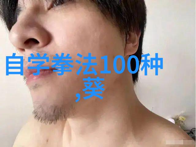 剑锋与步伐解读武功与武术的神秘差距